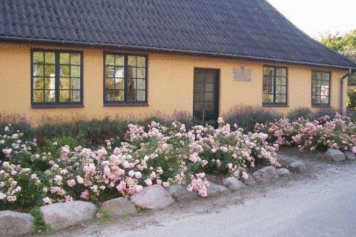 Dyrlev Bed & Breakfast Præstø Dış mekan fotoğraf