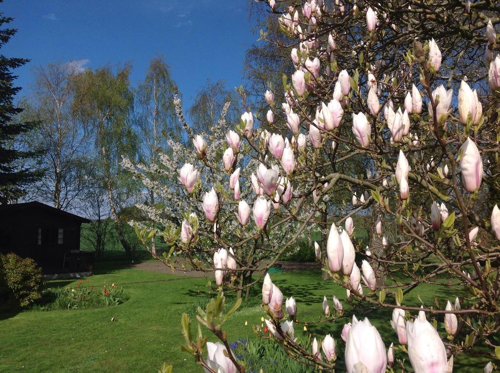 Dyrlev Bed & Breakfast Præstø Dış mekan fotoğraf