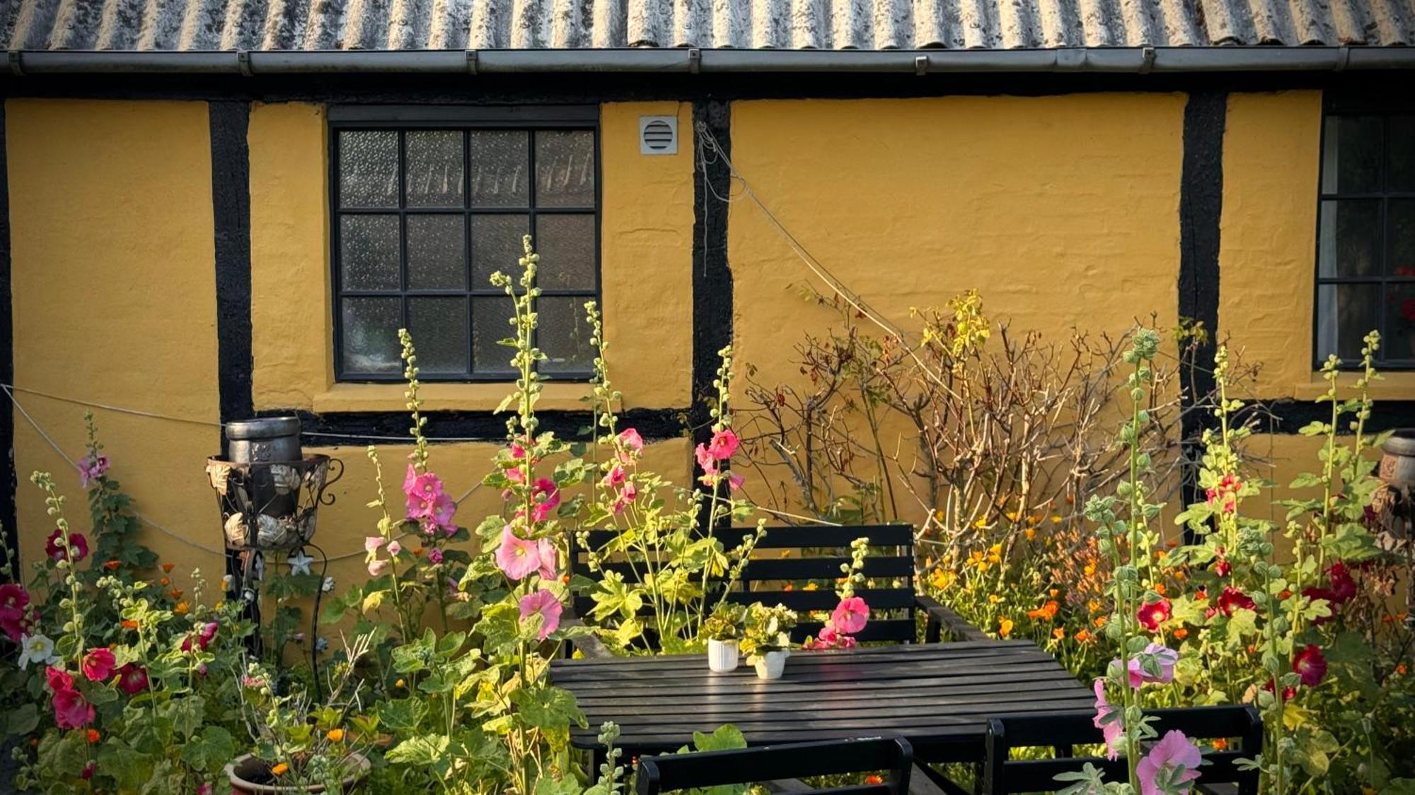 Dyrlev Bed & Breakfast Præstø Dış mekan fotoğraf