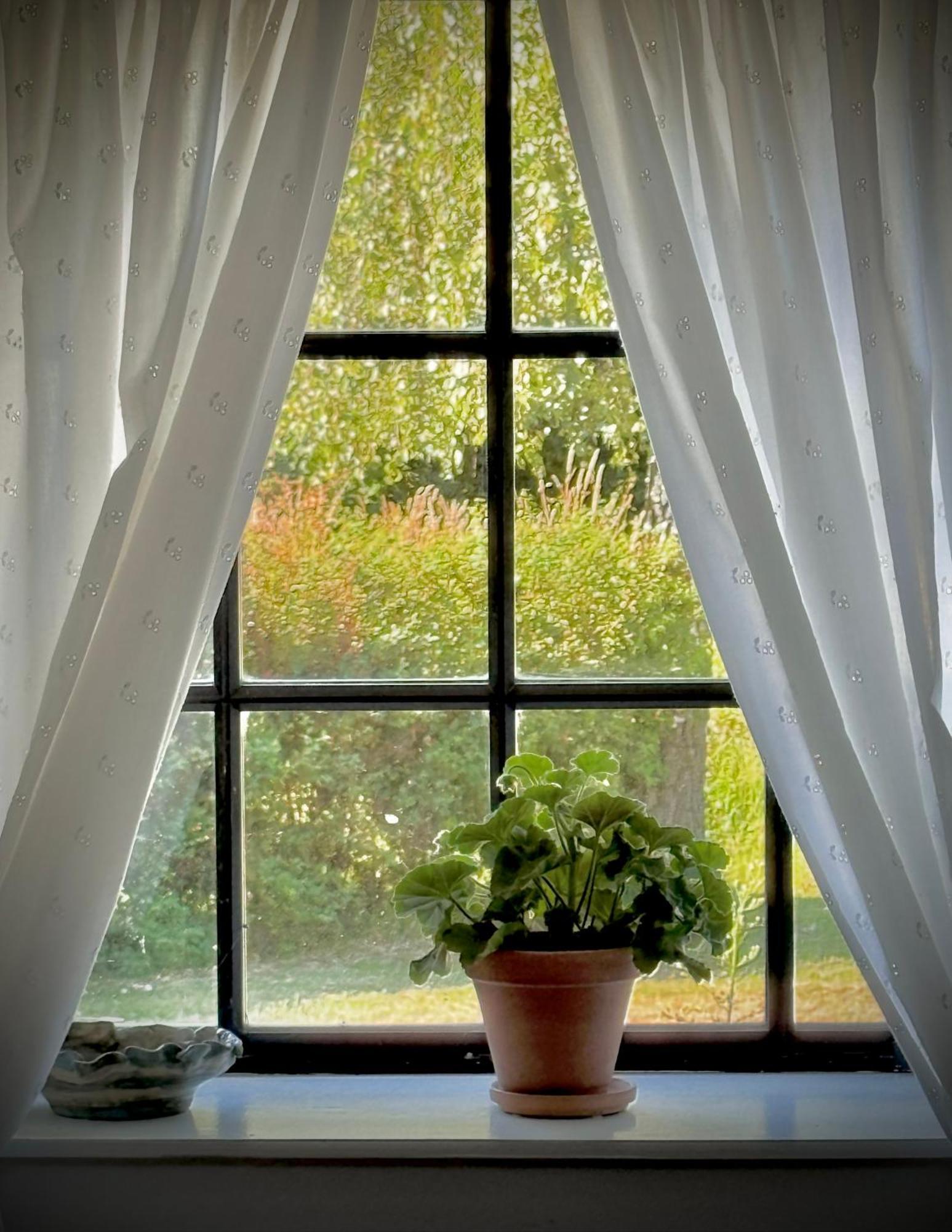 Dyrlev Bed & Breakfast Præstø Dış mekan fotoğraf