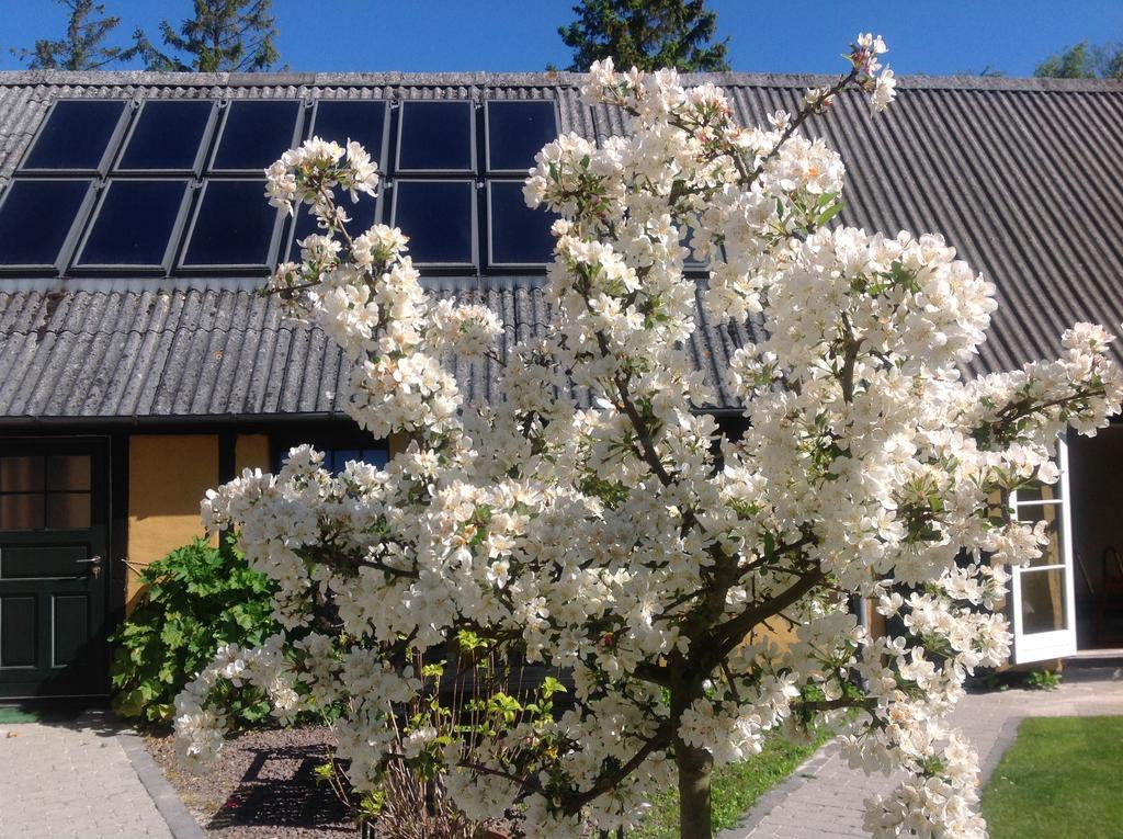 Dyrlev Bed & Breakfast Præstø Dış mekan fotoğraf